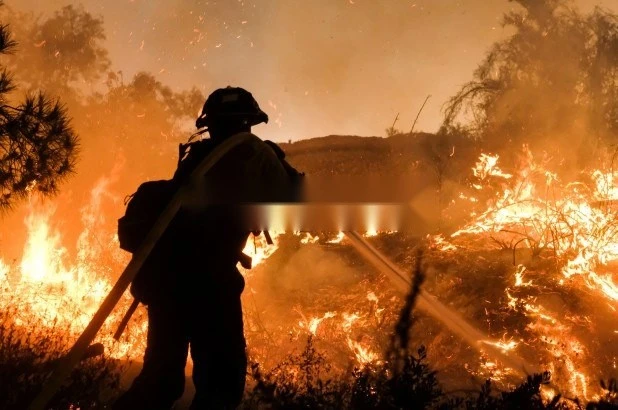 Forestry Fire Hose best Forestry Fire Hose best